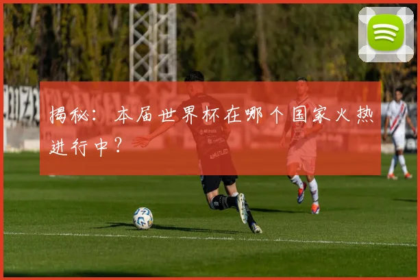 揭秘：本届世界杯在哪个国家火热进行中？